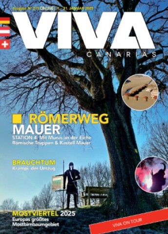 Viva Edition 215 online