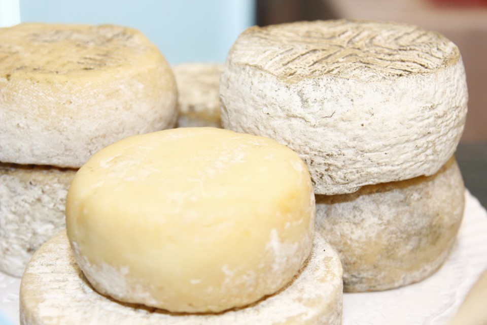 World Cheese Award 2019: Spanien wieder Top