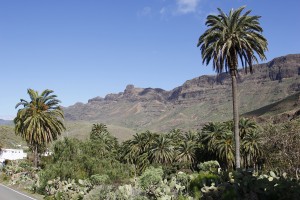 Valle de Fataga - Fünf Gründe für das Tal der 1000 Palmen