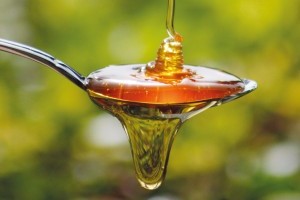 Honig - süßes Gold aus kanarischen Bienenstöcken