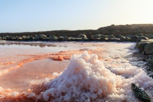 Lange Geschichte: Salzgärten auf den Kanaren - Salzmeisterschaften
