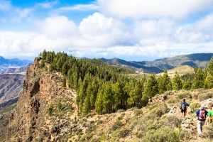 GCWF 2023: Gran Canaria Walking Festival in den Startlöchern - die Routen