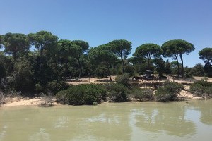 Sanlúcar de Barrameda (Teil 2) - Spaniens größter Nationalpark Coto de Doñana